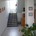 Gina 2*