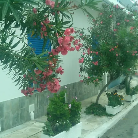 بيت ريفي Gina