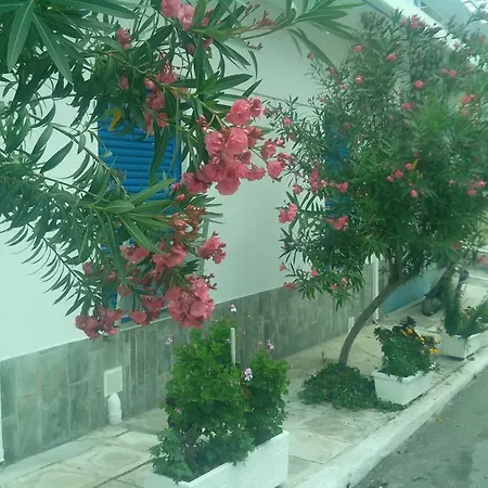 Gina بيت ريفي